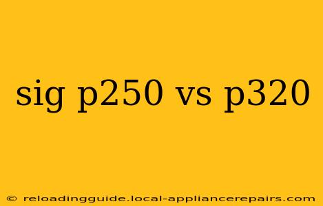 sig p250 vs p320