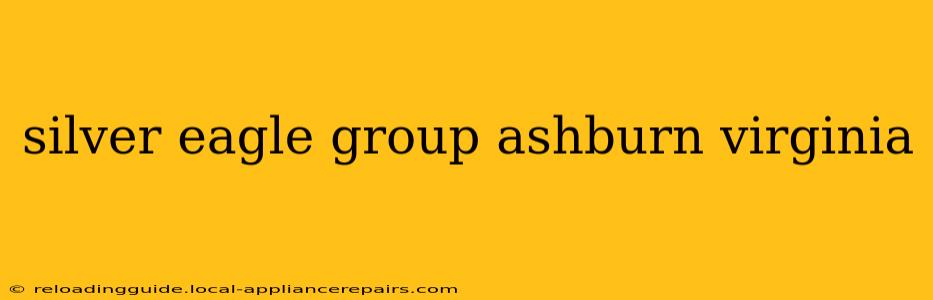 silver eagle group ashburn virginia