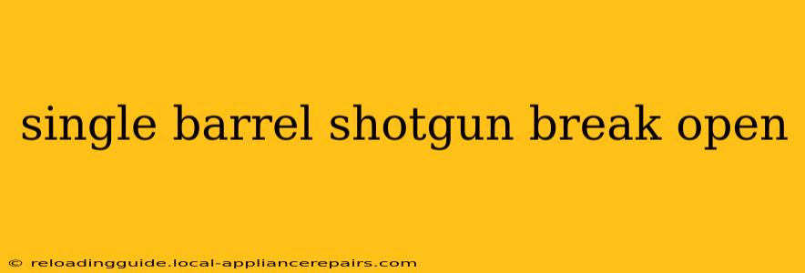 single barrel shotgun break open