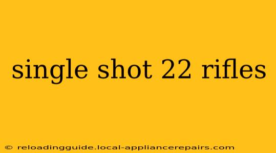 single shot 22 rifles