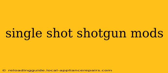 single shot shotgun mods