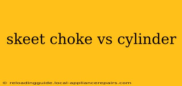 skeet choke vs cylinder