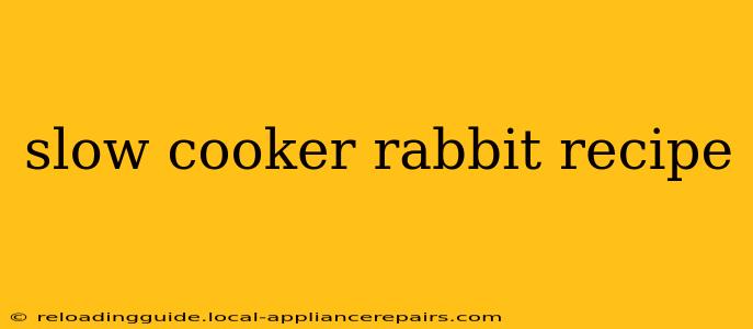 slow cooker rabbit recipe