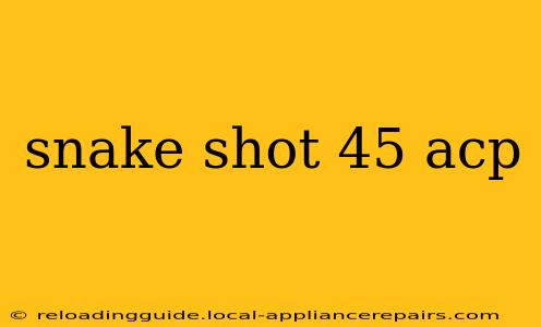 snake shot 45 acp