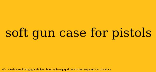 soft gun case for pistols