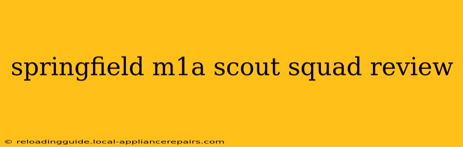 springfield m1a scout squad review