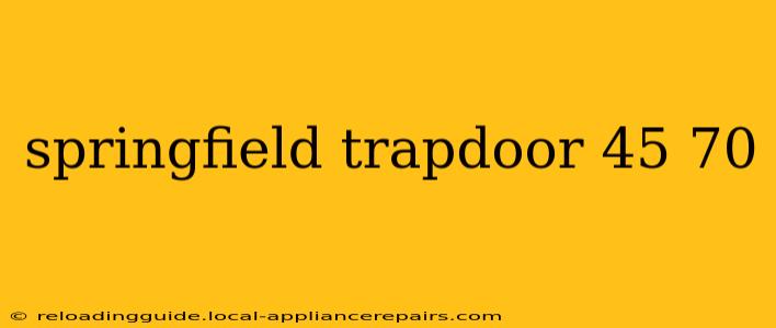 springfield trapdoor 45 70