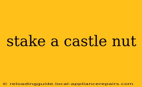 stake a castle nut