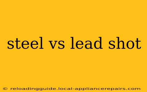 steel vs lead shot