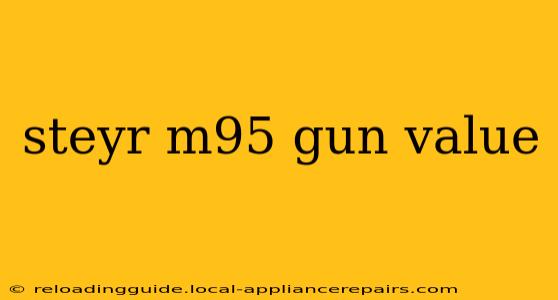 steyr m95 gun value