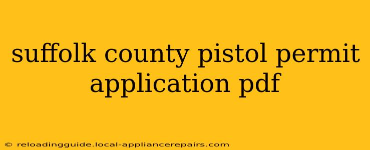 suffolk county pistol permit application pdf