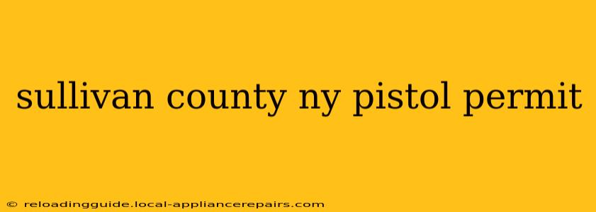 sullivan county ny pistol permit