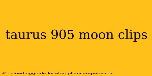 taurus 905 moon clips