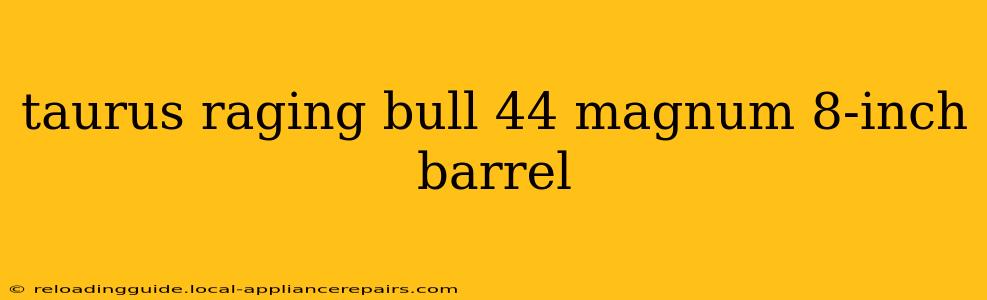 taurus raging bull 44 magnum 8-inch barrel