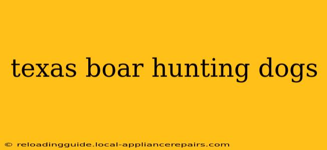 texas boar hunting dogs