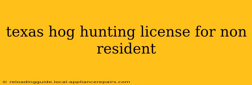 texas hog hunting license for non resident