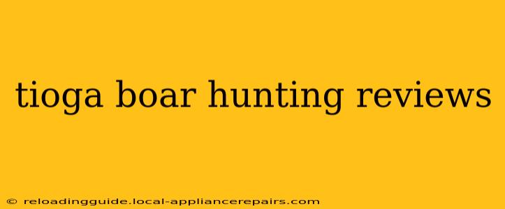 tioga boar hunting reviews