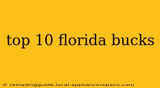 top 10 florida bucks