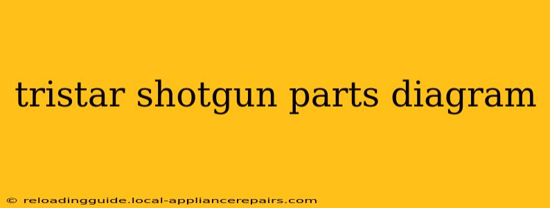 tristar shotgun parts diagram