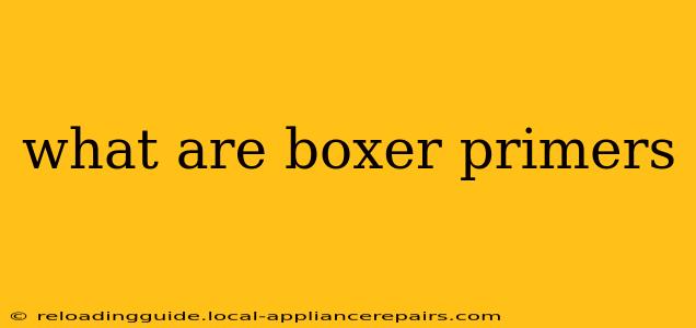 what are boxer primers