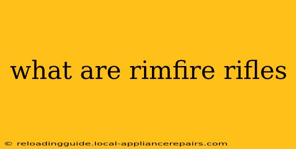 what are rimfire rifles