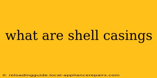 what are shell casings