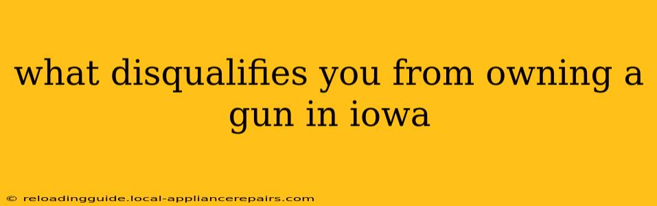 what disqualifies you from owning a gun in iowa