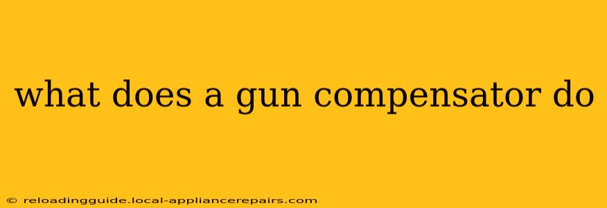 what does a gun compensator do