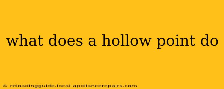 what does a hollow point do