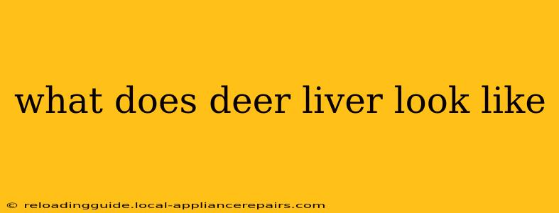 what does deer liver look like