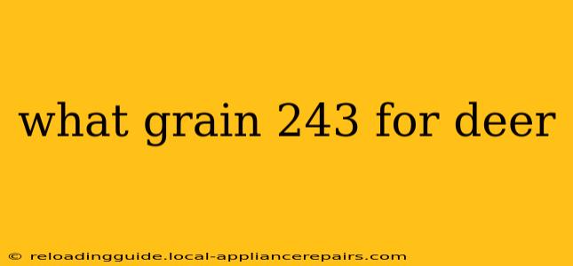 what grain 243 for deer