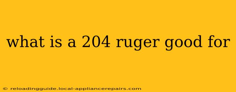 what is a 204 ruger good for