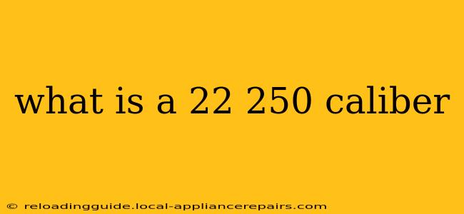 what is a 22 250 caliber