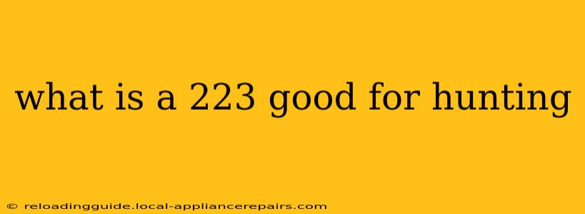 what is a 223 good for hunting