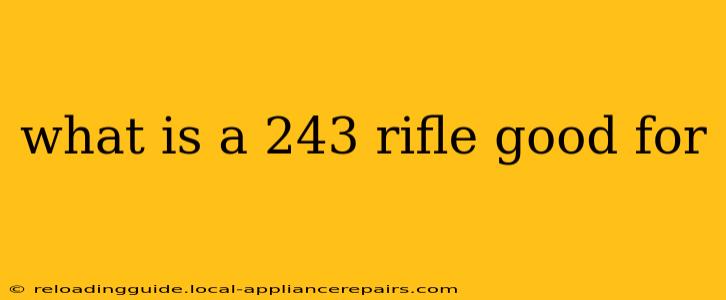 what is a 243 rifle good for