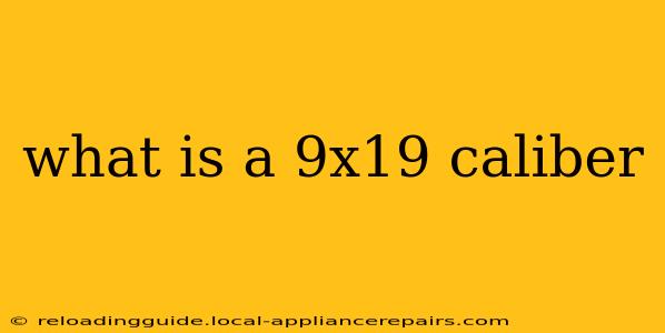 what is a 9x19 caliber