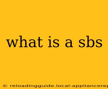 what is a sbs