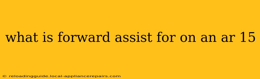 what is forward assist for on an ar 15