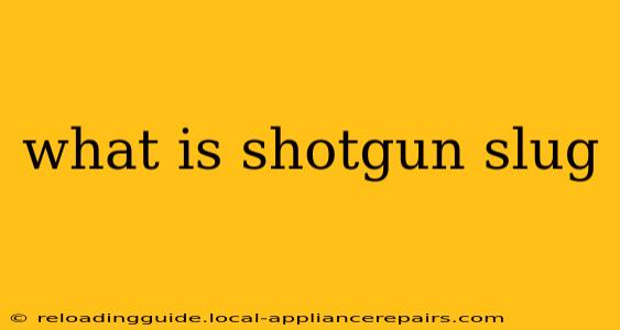 what is shotgun slug