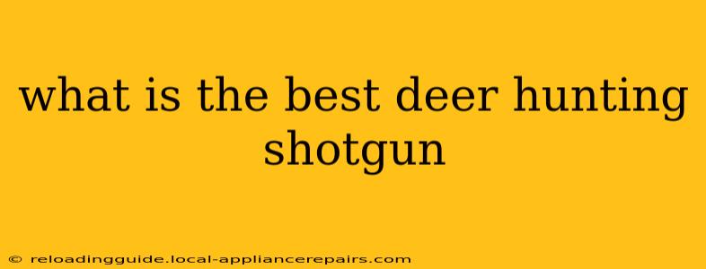 what is the best deer hunting shotgun