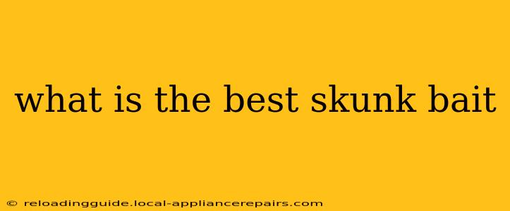 what is the best skunk bait