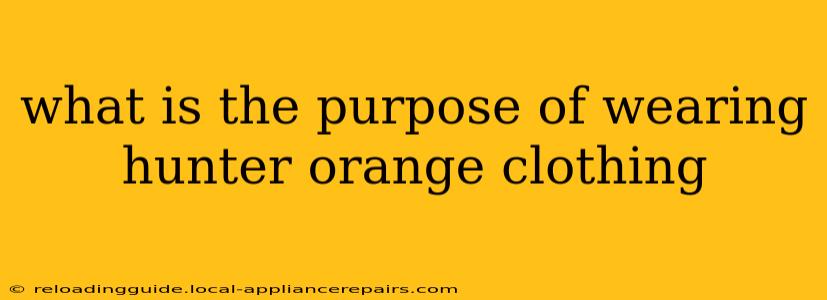 what is the purpose of wearing hunter orange clothing