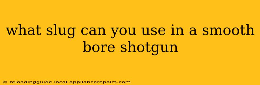 what slug can you use in a smooth bore shotgun