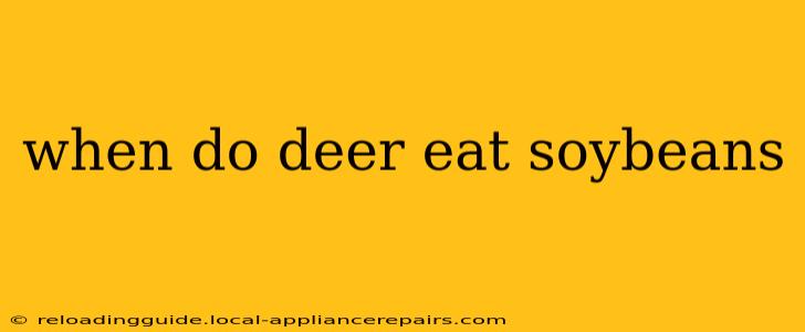 when do deer eat soybeans