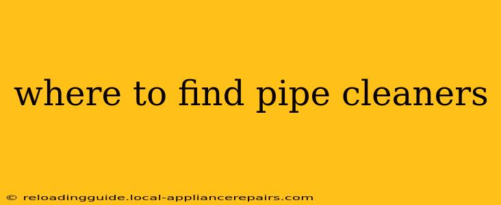 where to find pipe cleaners