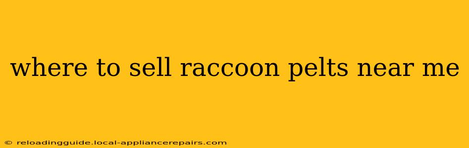 where to sell raccoon pelts near me