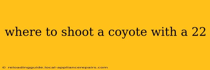 where to shoot a coyote with a 22