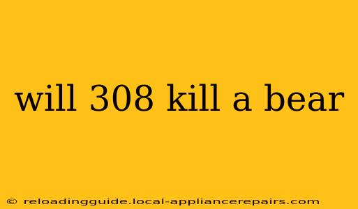 will 308 kill a bear