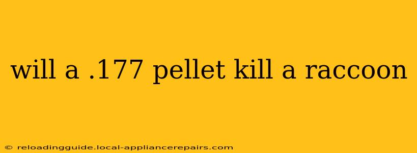 will a .177 pellet kill a raccoon