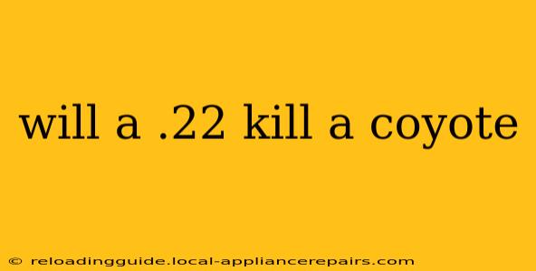 will a .22 kill a coyote